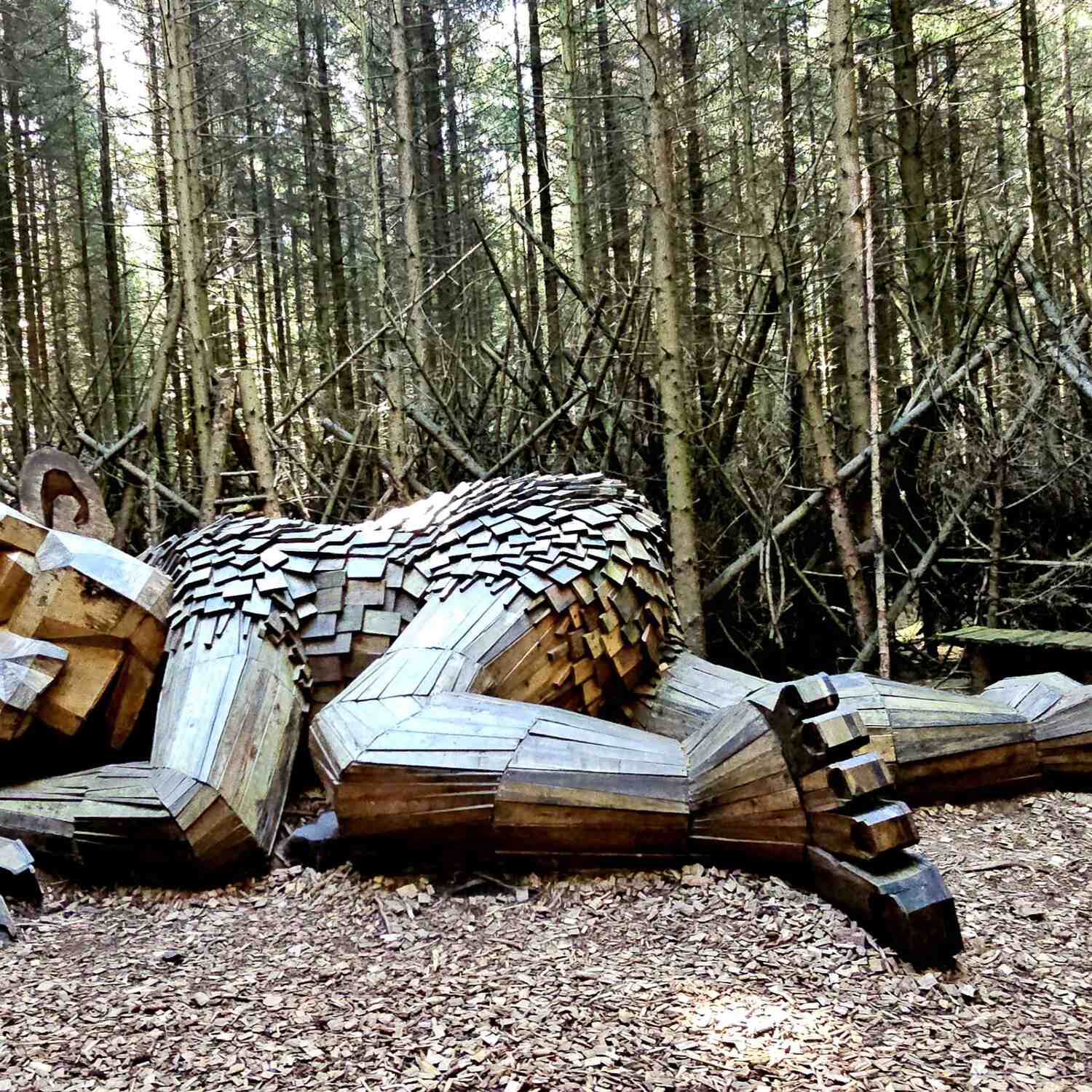 Dänemark 20.06. - 02.07.2025
