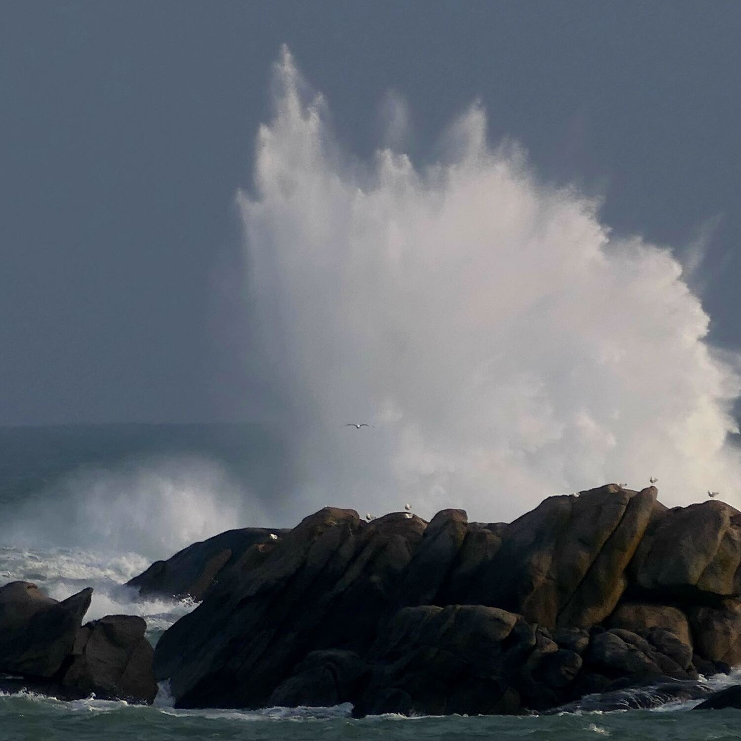 Bretagne 30.03. - 05.04.2026