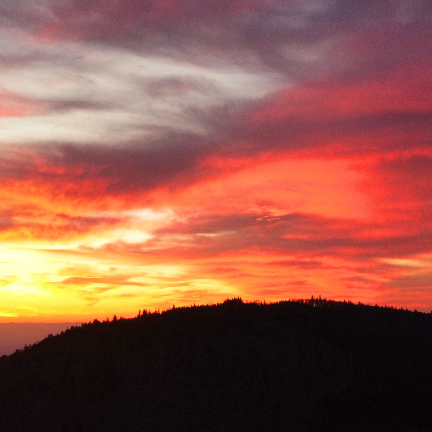 Schwarzwald 05.04. - 06.04.2025