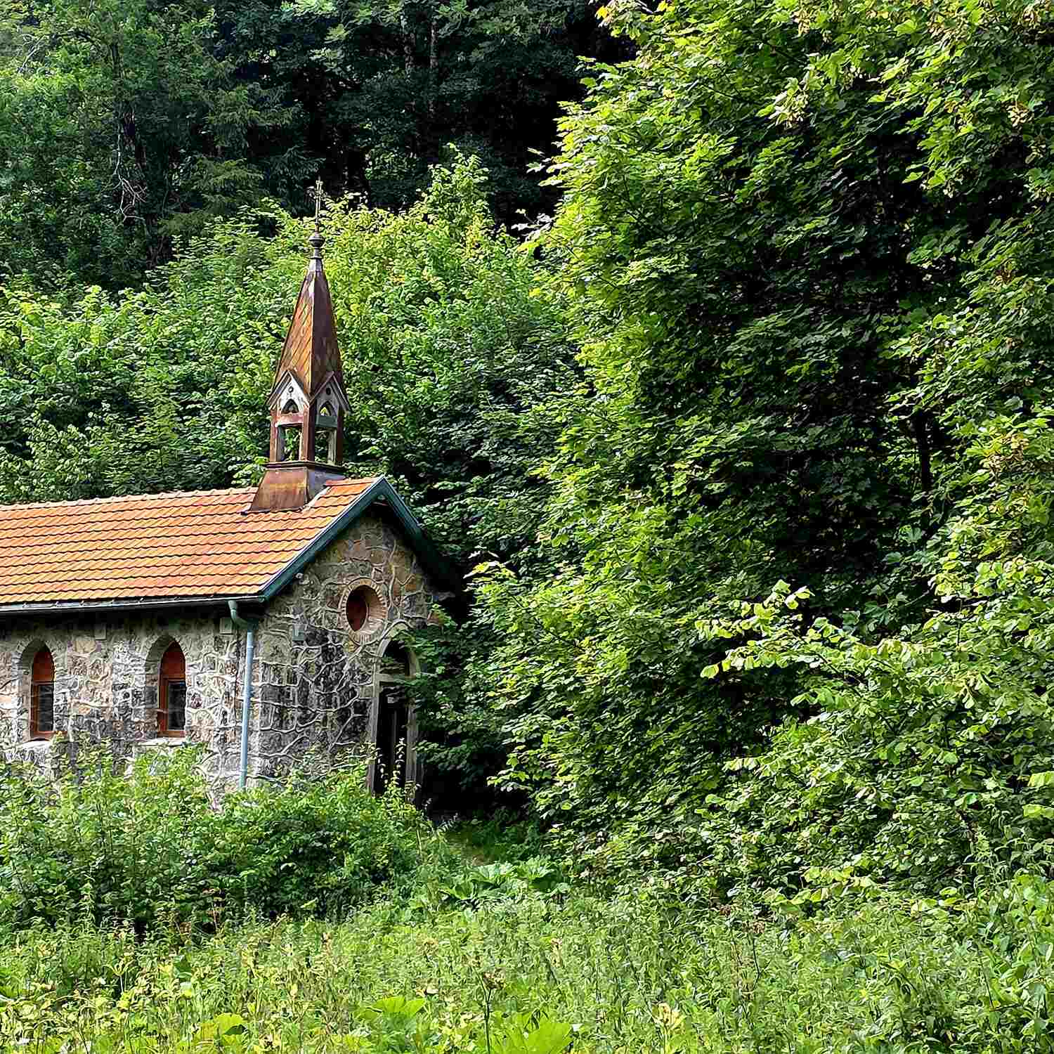 Wutachschlucht 25.07. - 28.07.2025