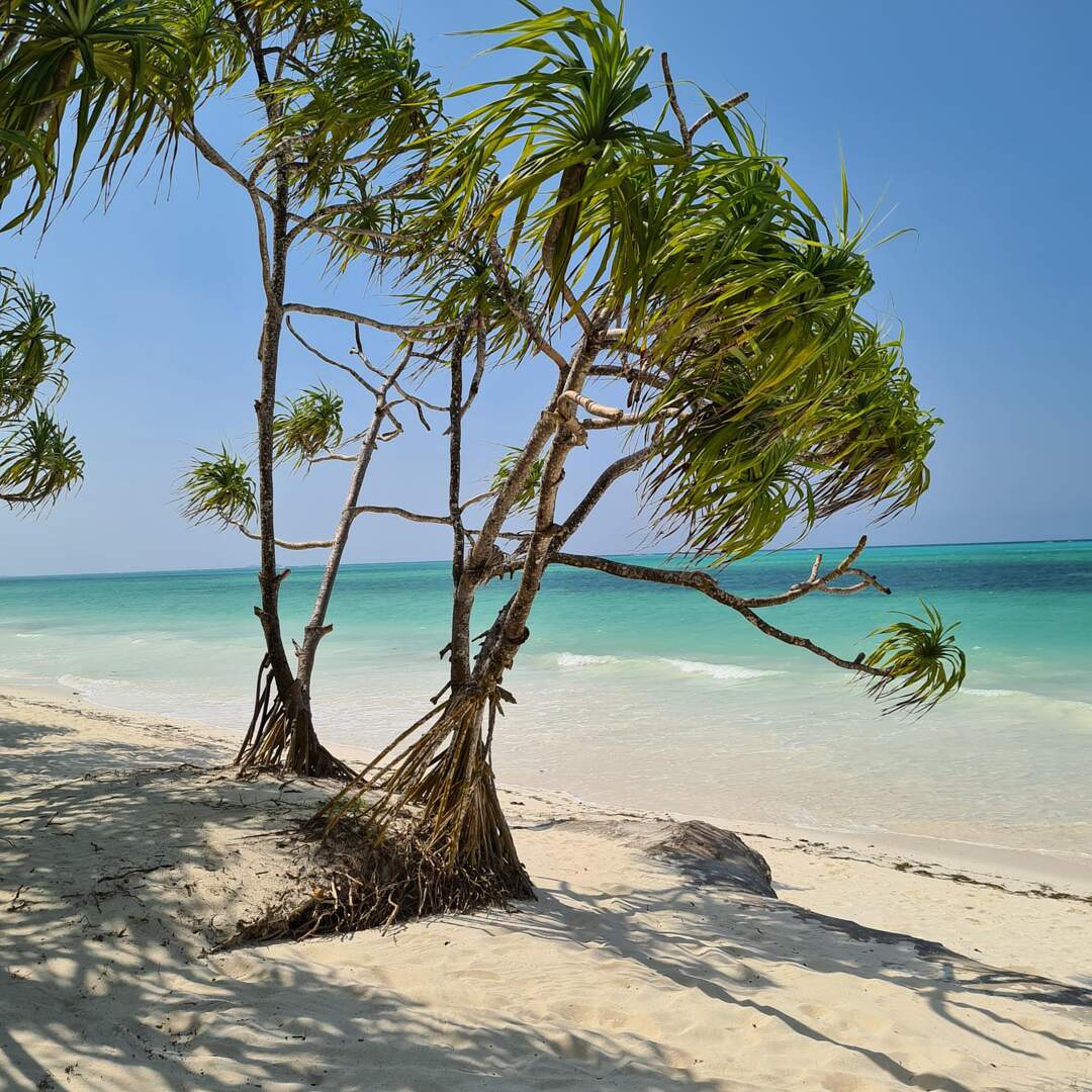 Zanzibar / Tansania 2022