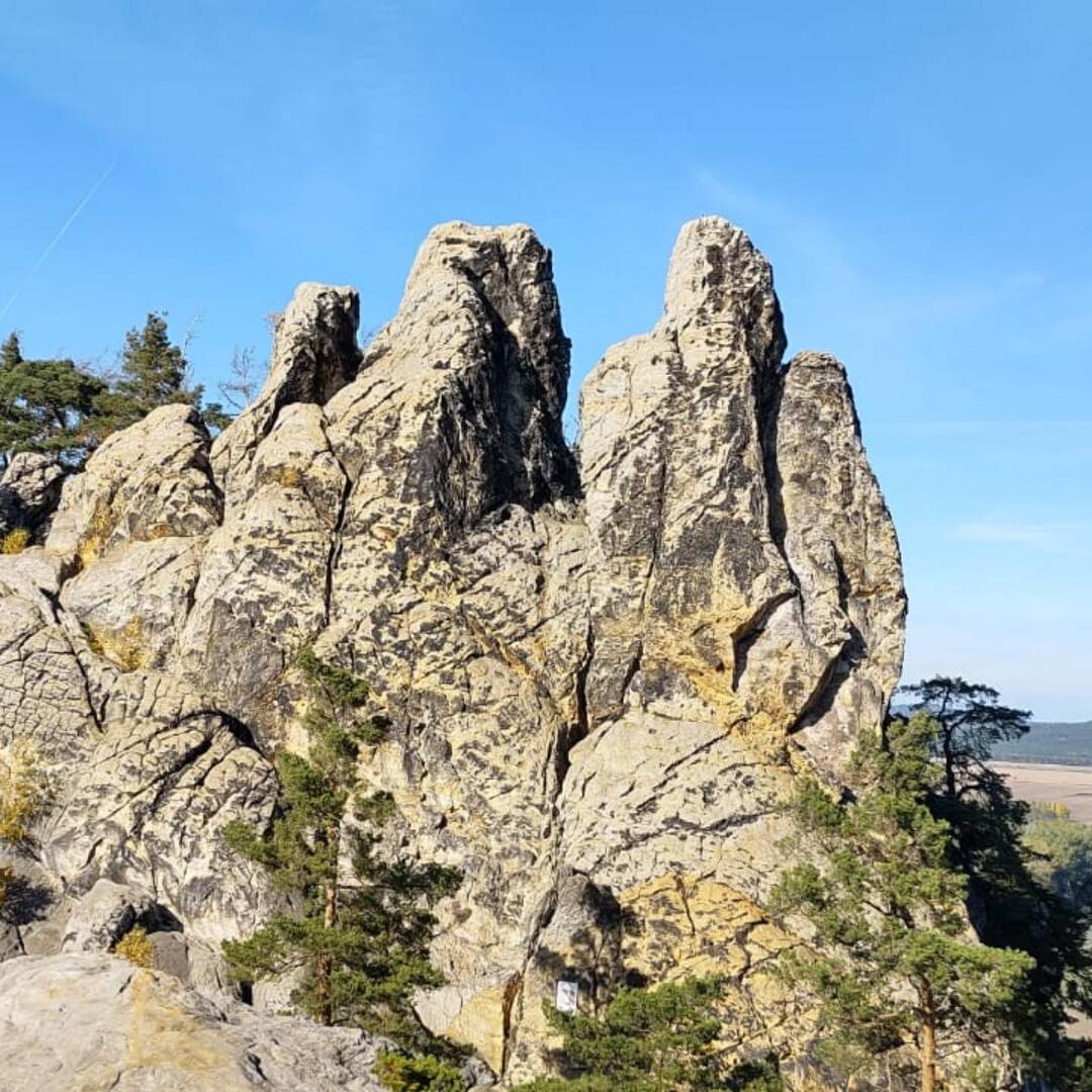 Ein paar Tage im Harz