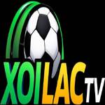 xoilactvv org