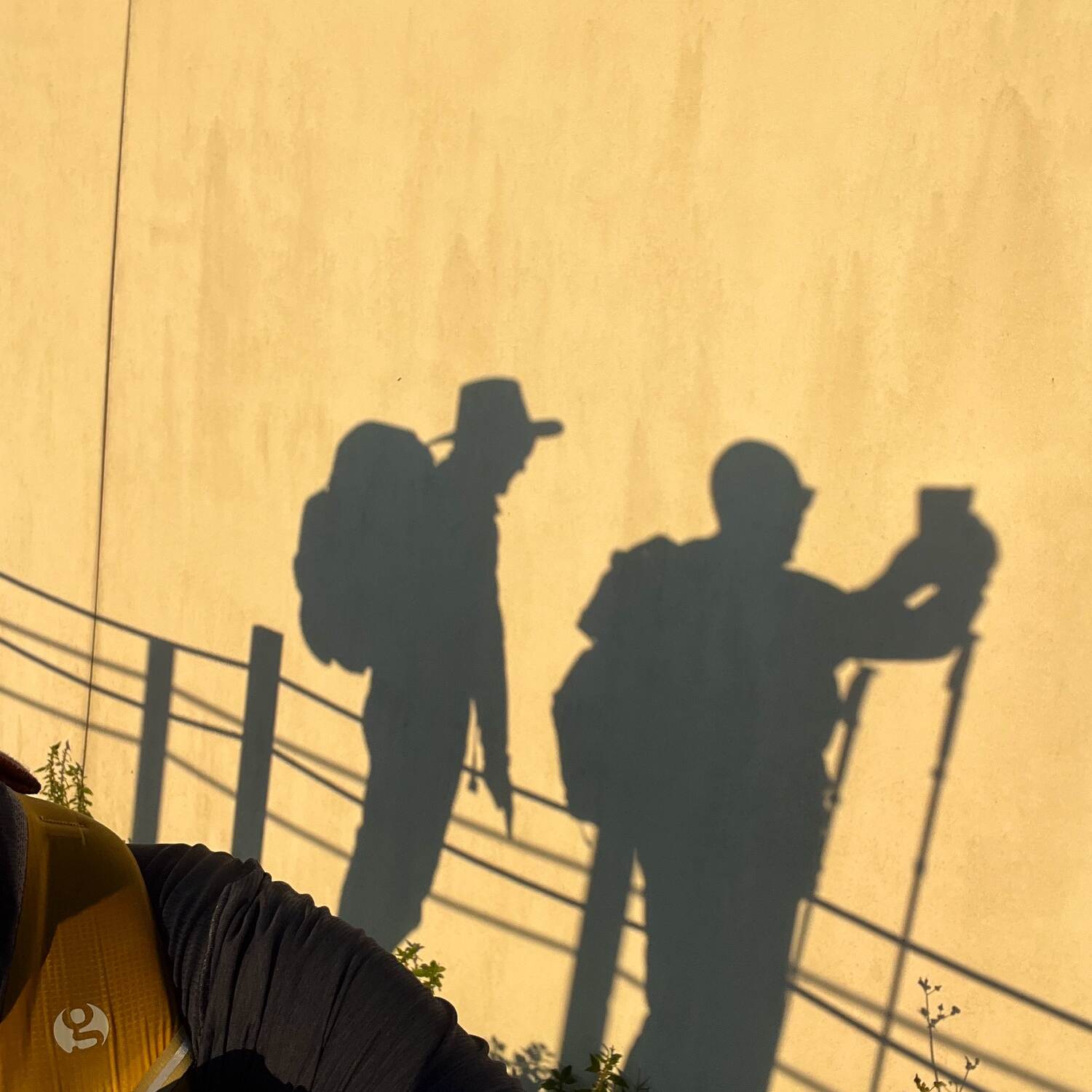 Camino Portogues