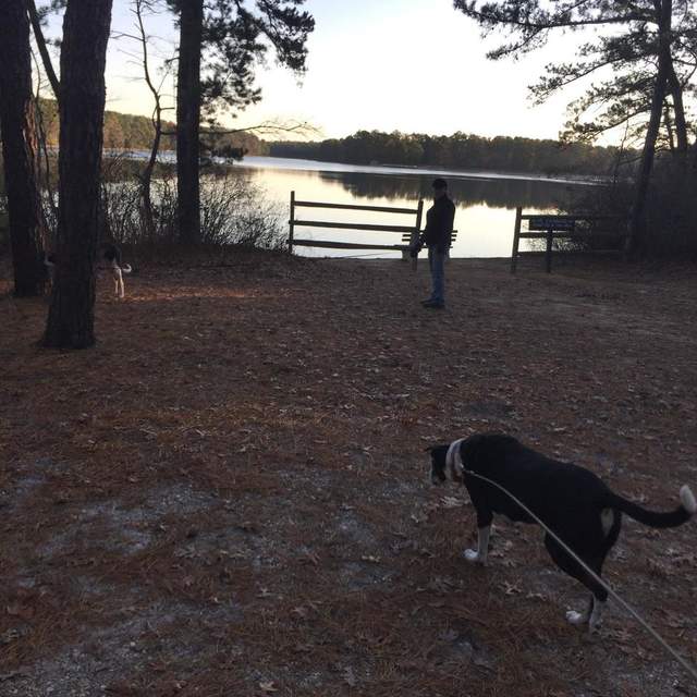 Travels with Jack and Sam