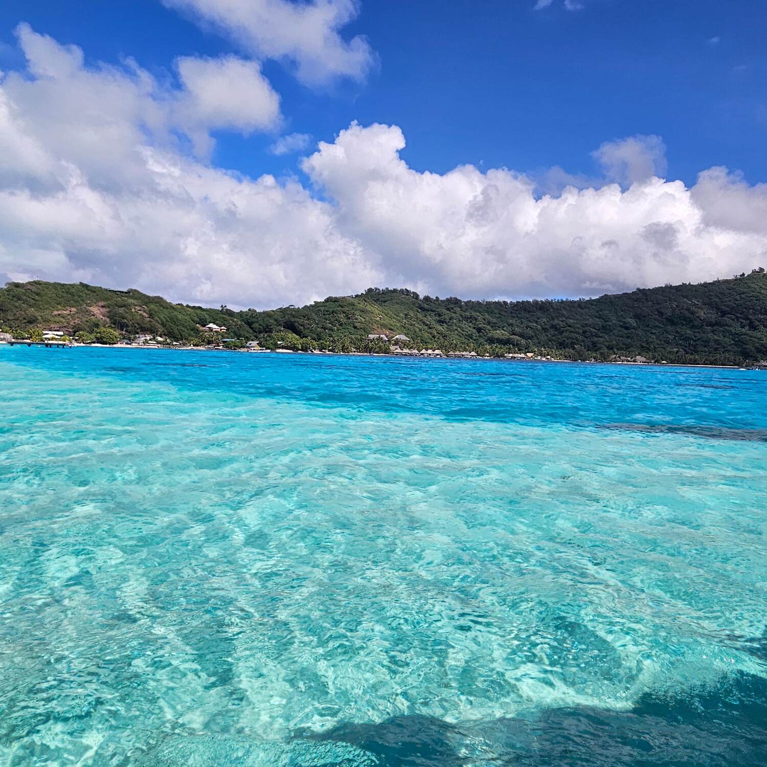 French Polynesian