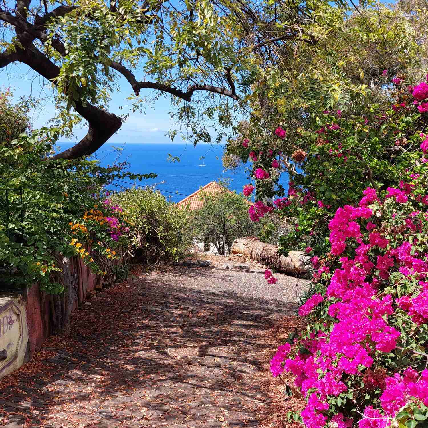 Madeira
