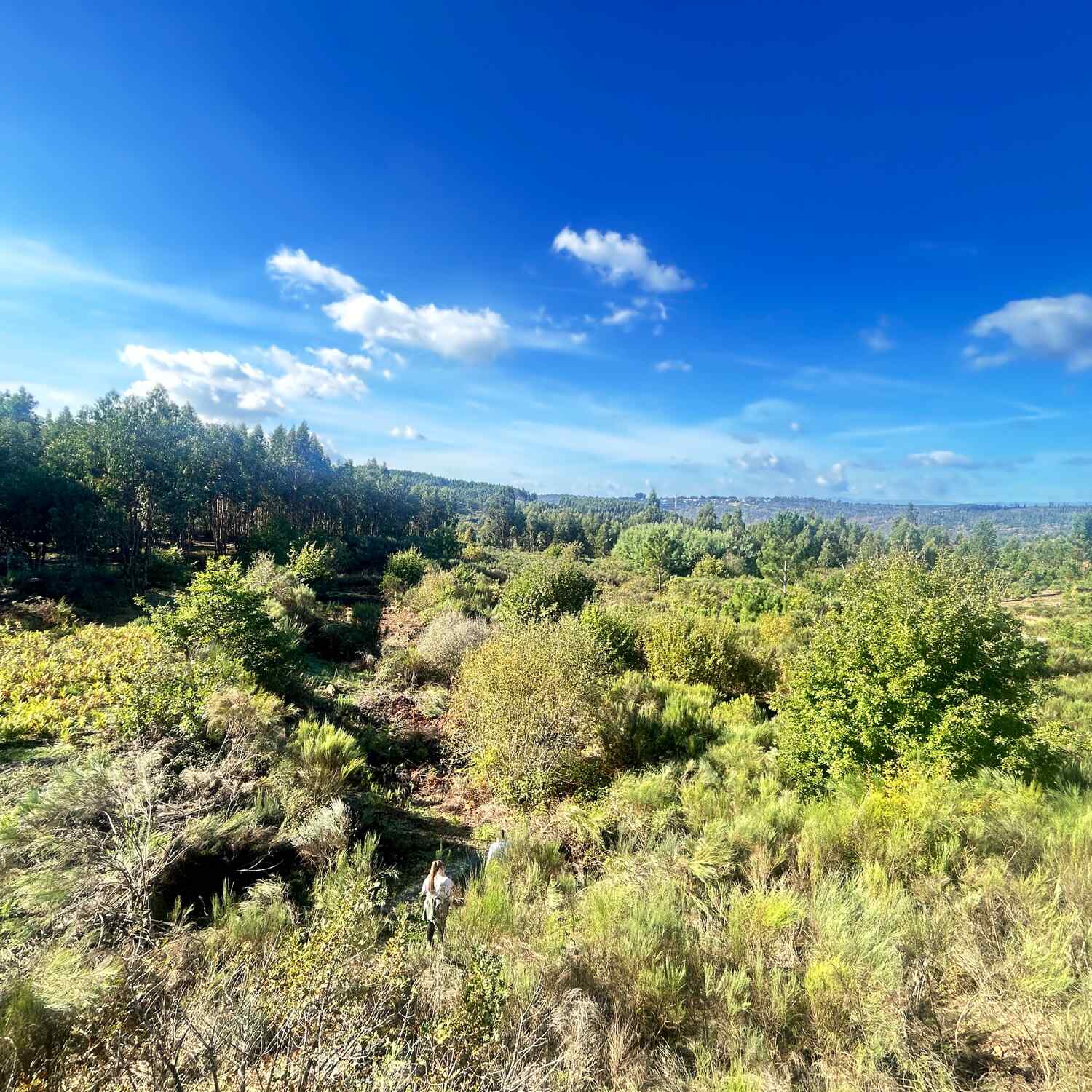 Monte da Estrela livre Part 2