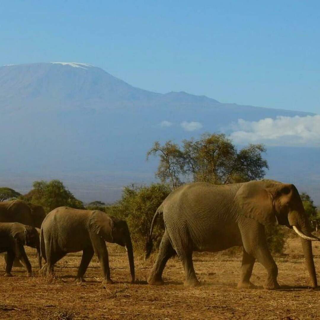 Kenia - Träume werden wahr