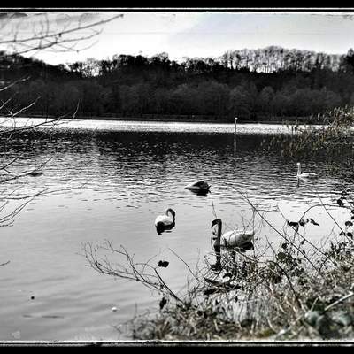 An der Ruhr
