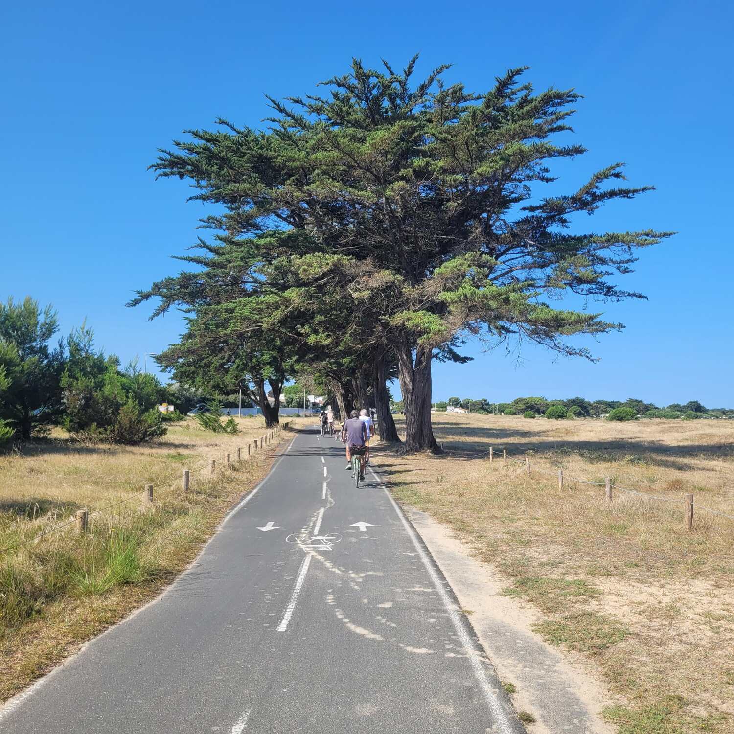 Ile de Ré à vélo 🚲