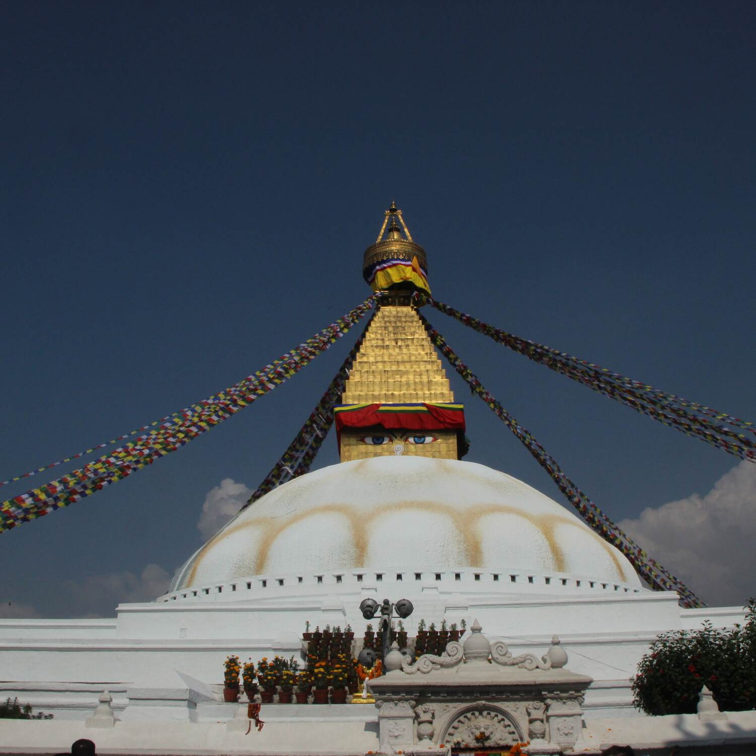 Nepal - Mardi Himal Trekking