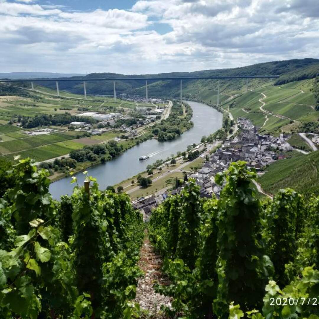Nahe-Mosel-Maginot