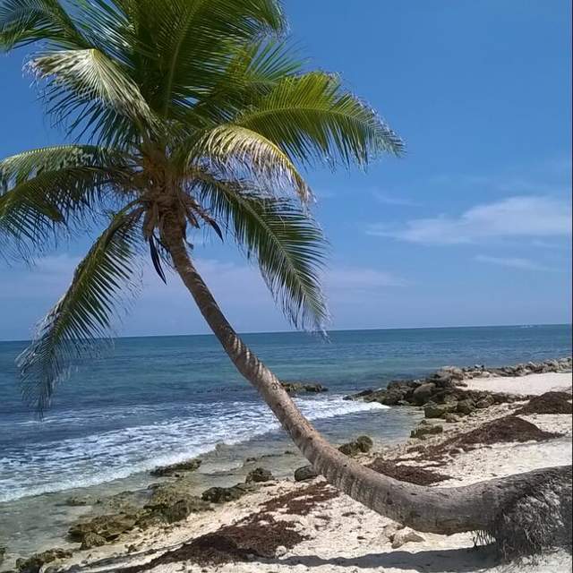 Sansibar - Zanzibar 2017