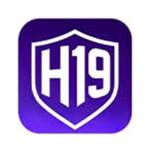 H 19
