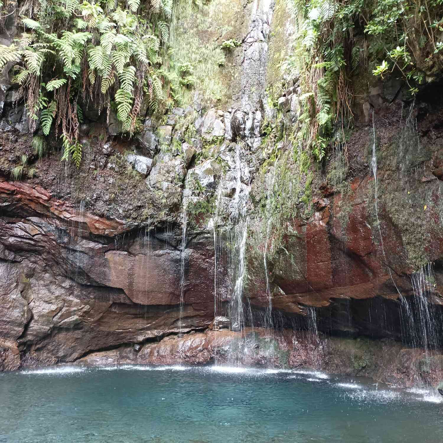 Hochzeitsreise Madeira 2023
