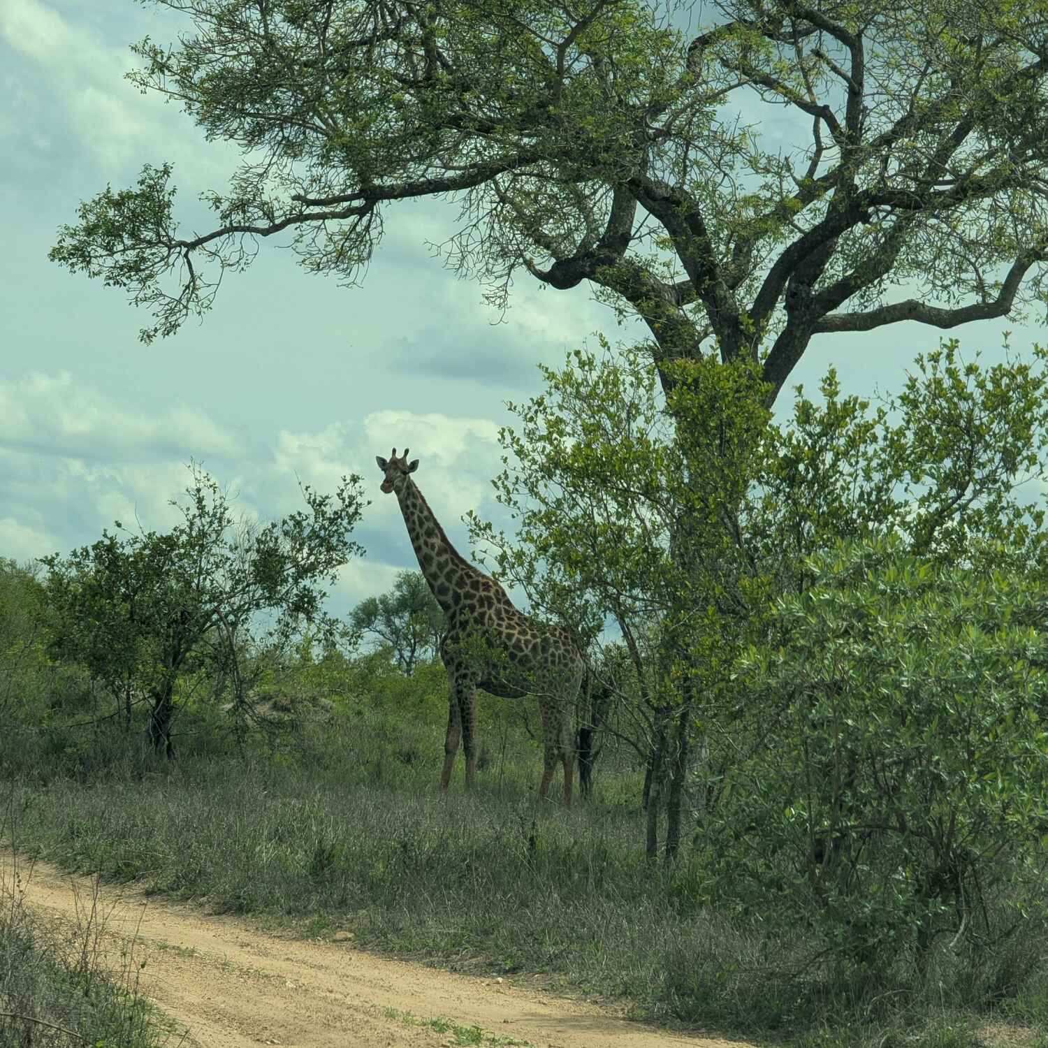 Südafrika/ Mauritius