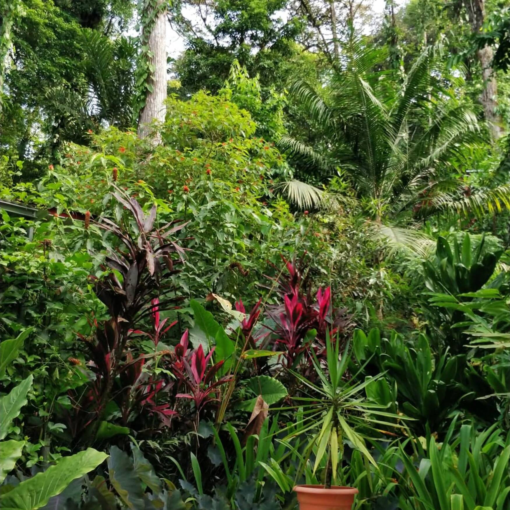 Bocas del Toro