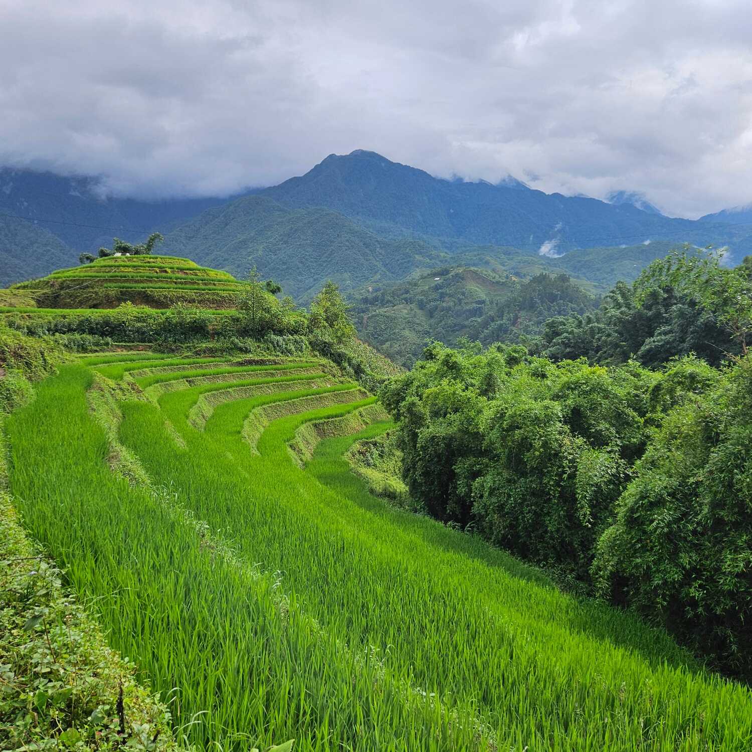 Vietnam Experience