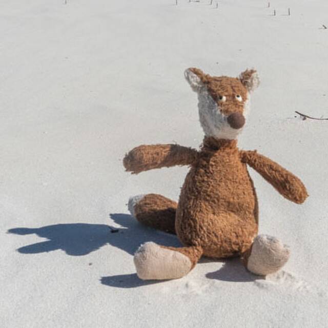 Mo travels with JoMa