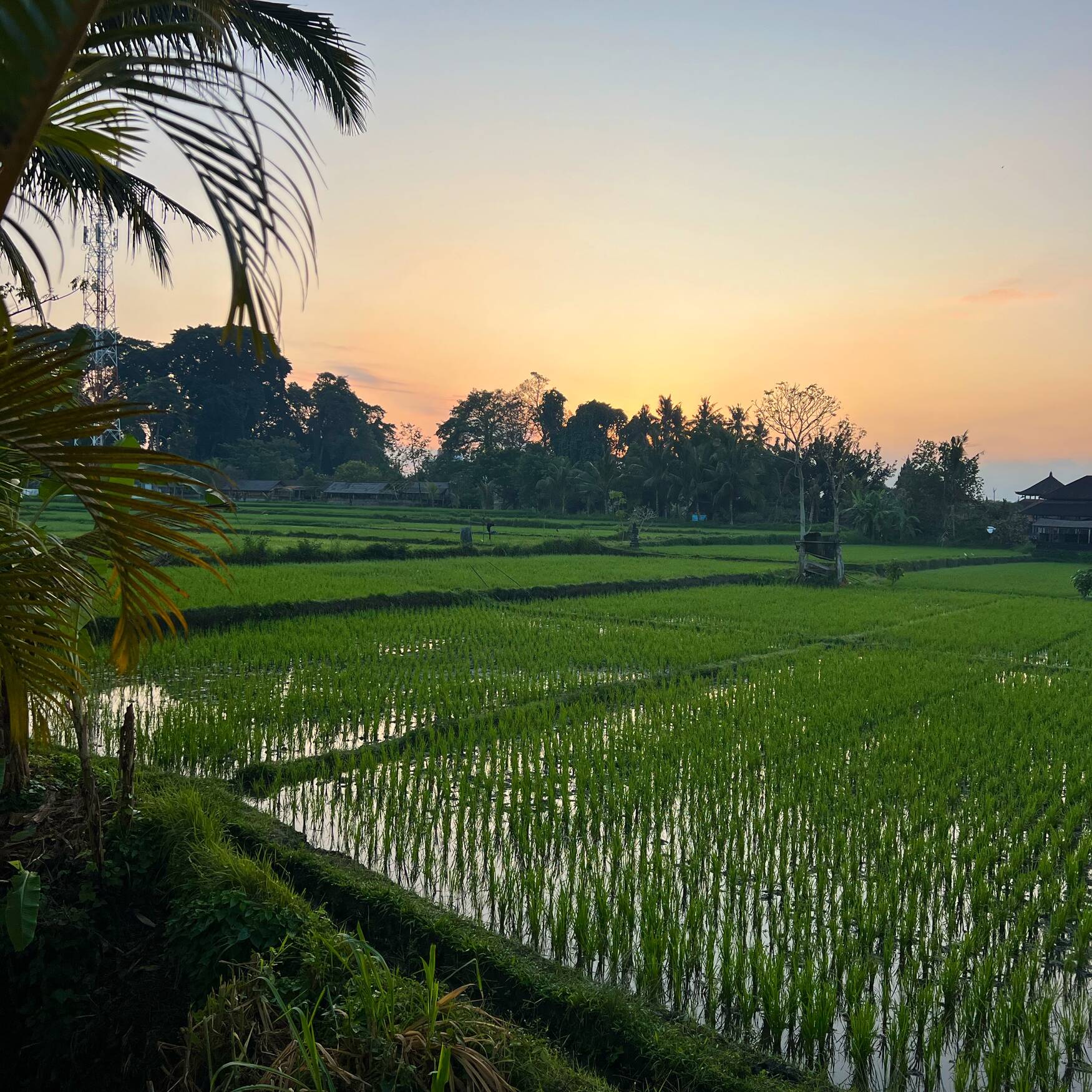 Bali!