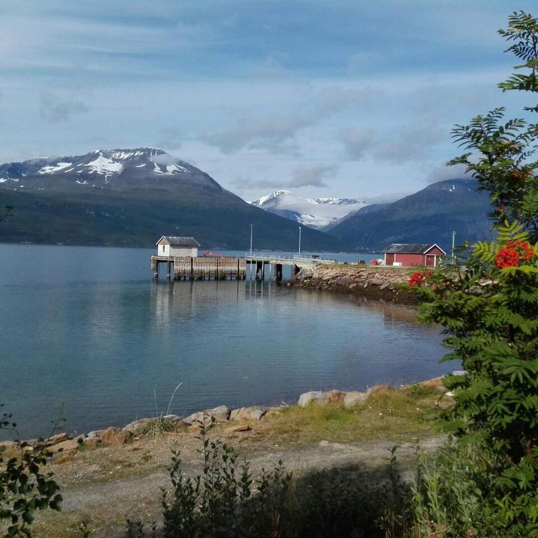 Covid 19 -matka pohjoiseen
