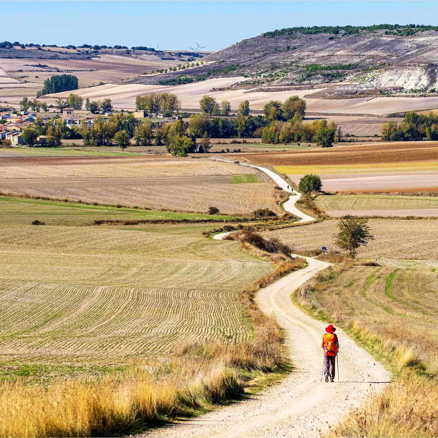 Camino de Santiago