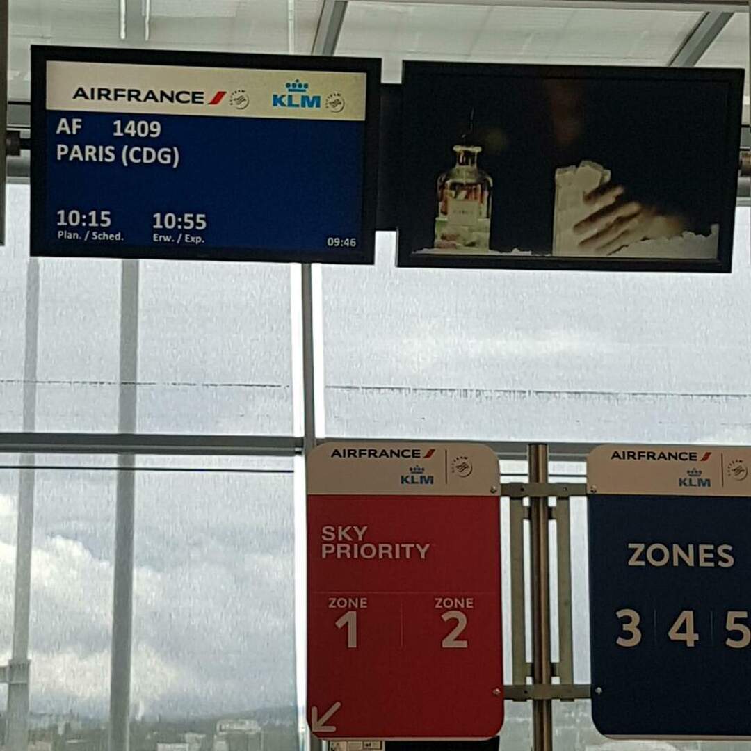 Einmal Martinique und zurück