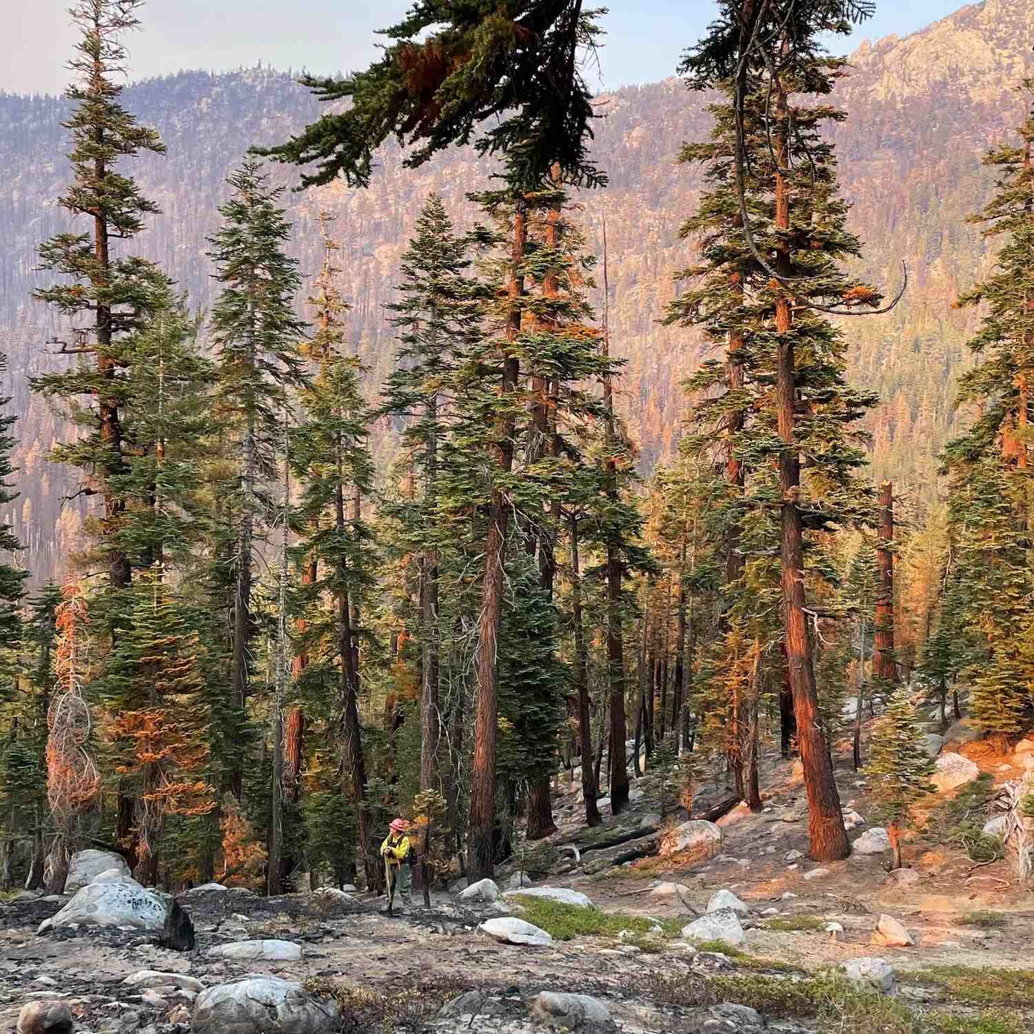 Hiking alone ✨🥾