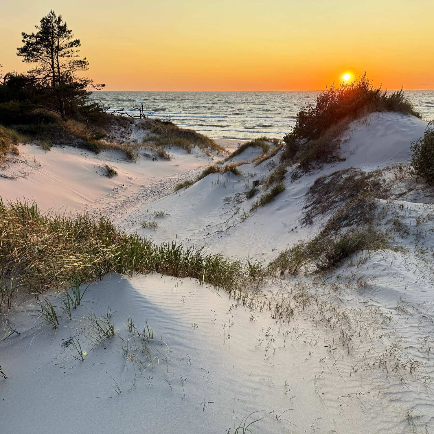 🇵🇱 Baltic Sea I ’25