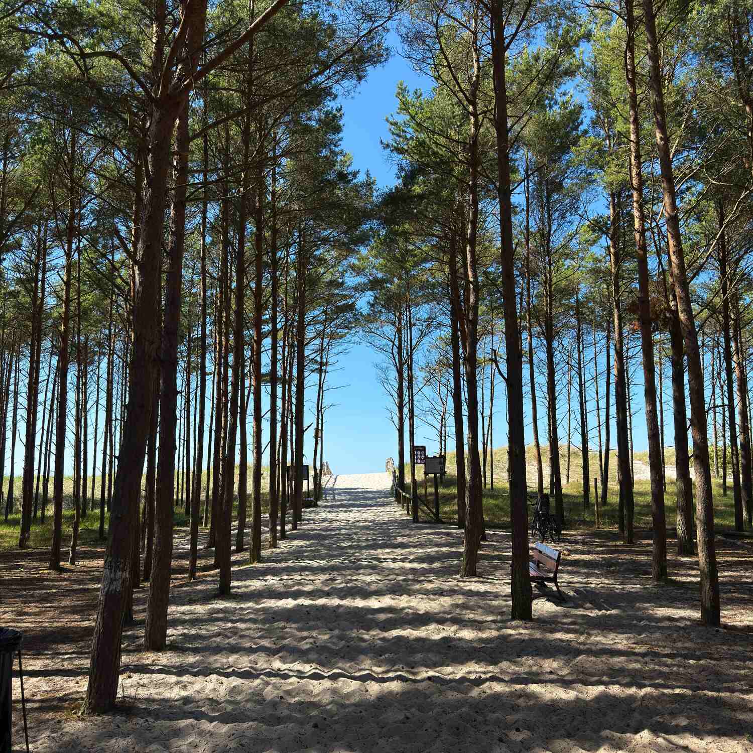 🇵🇱 Baltic Sea II ’25