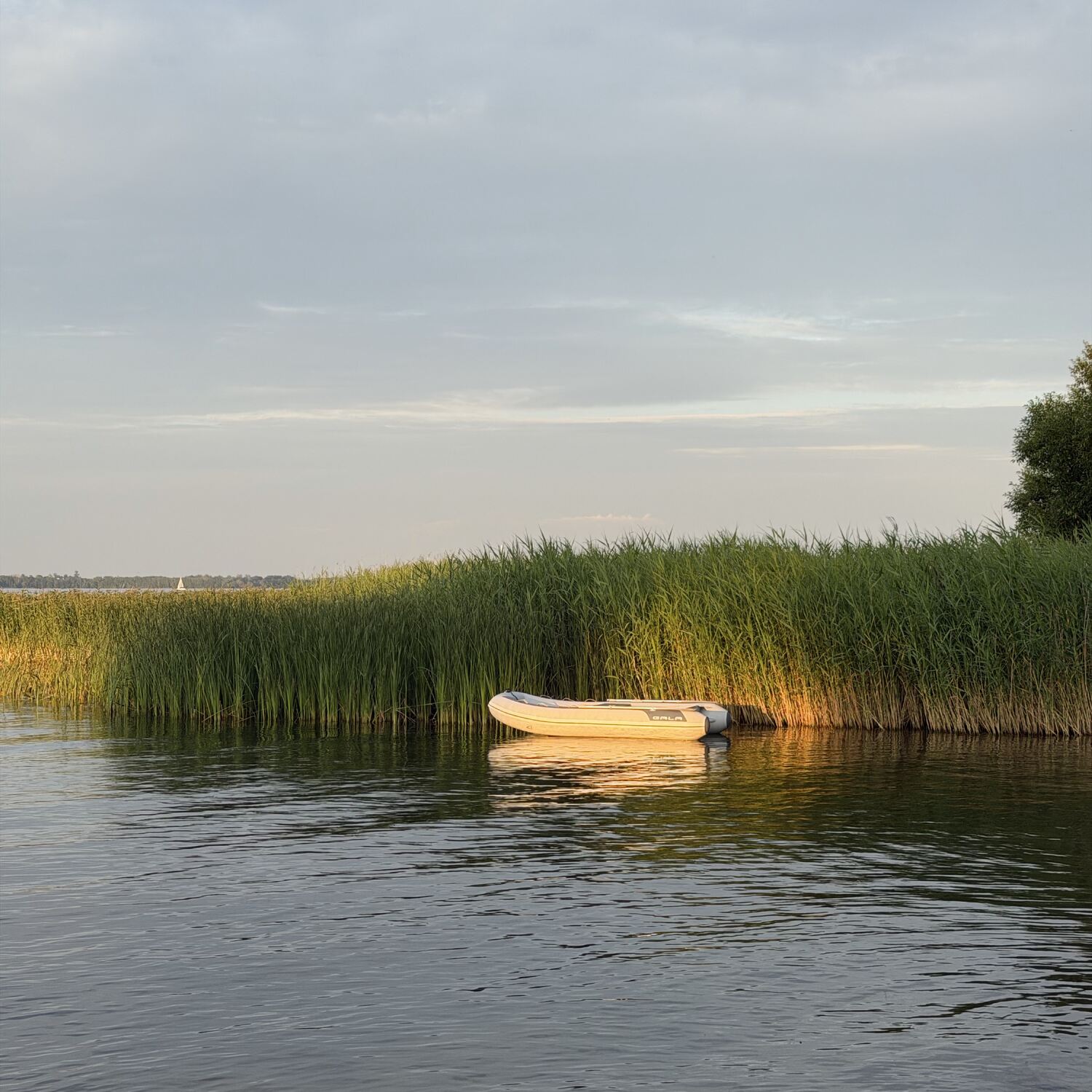 Mazury