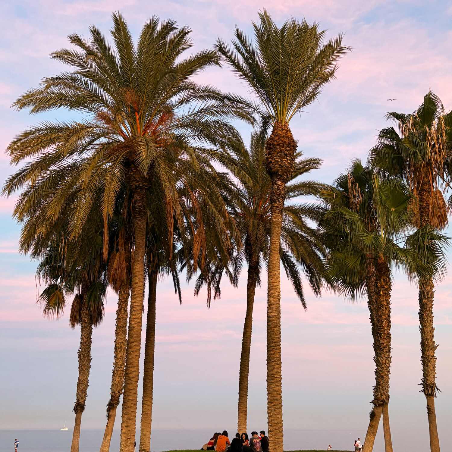 Lintu etelässä 2025