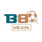 b8 info