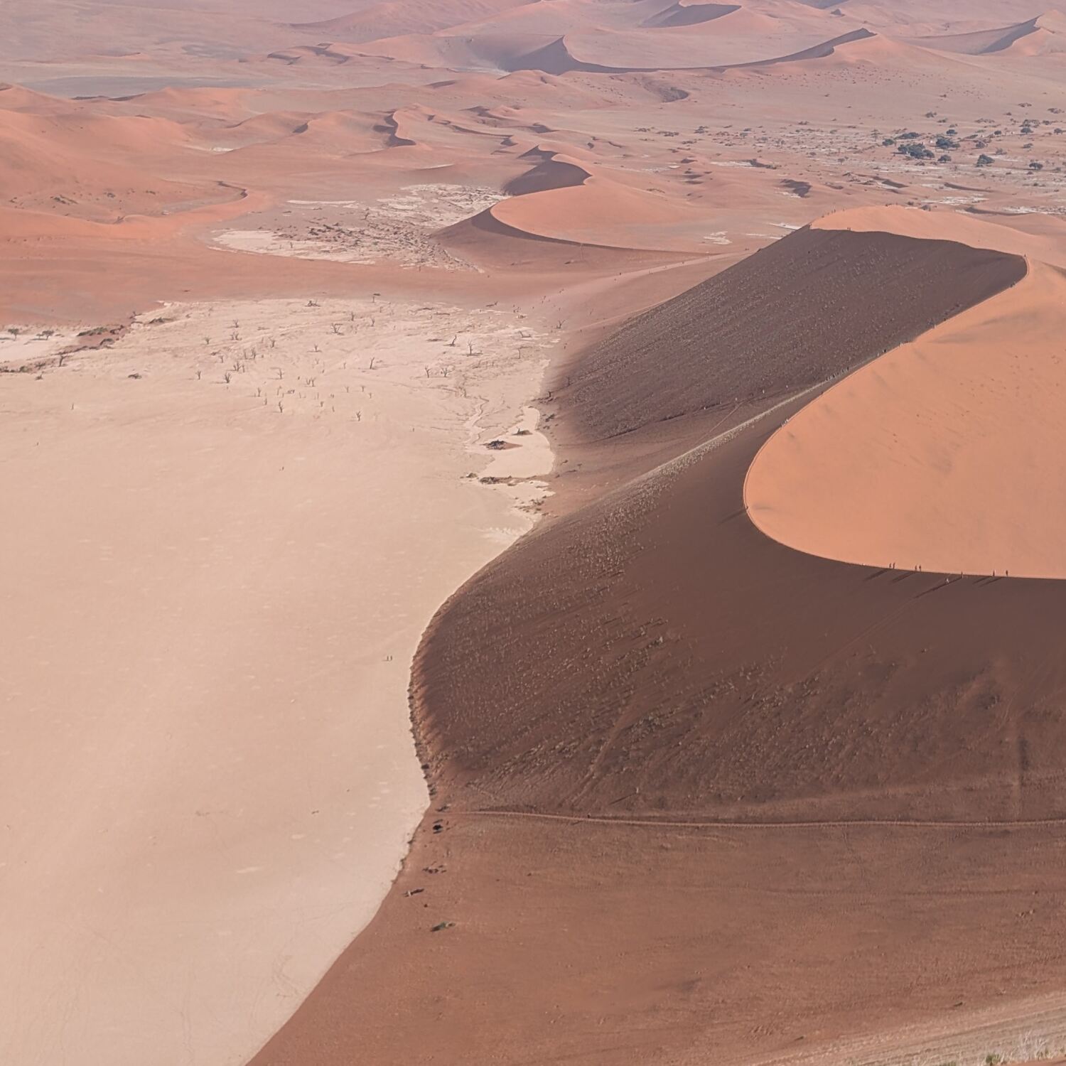 Namibia 2025