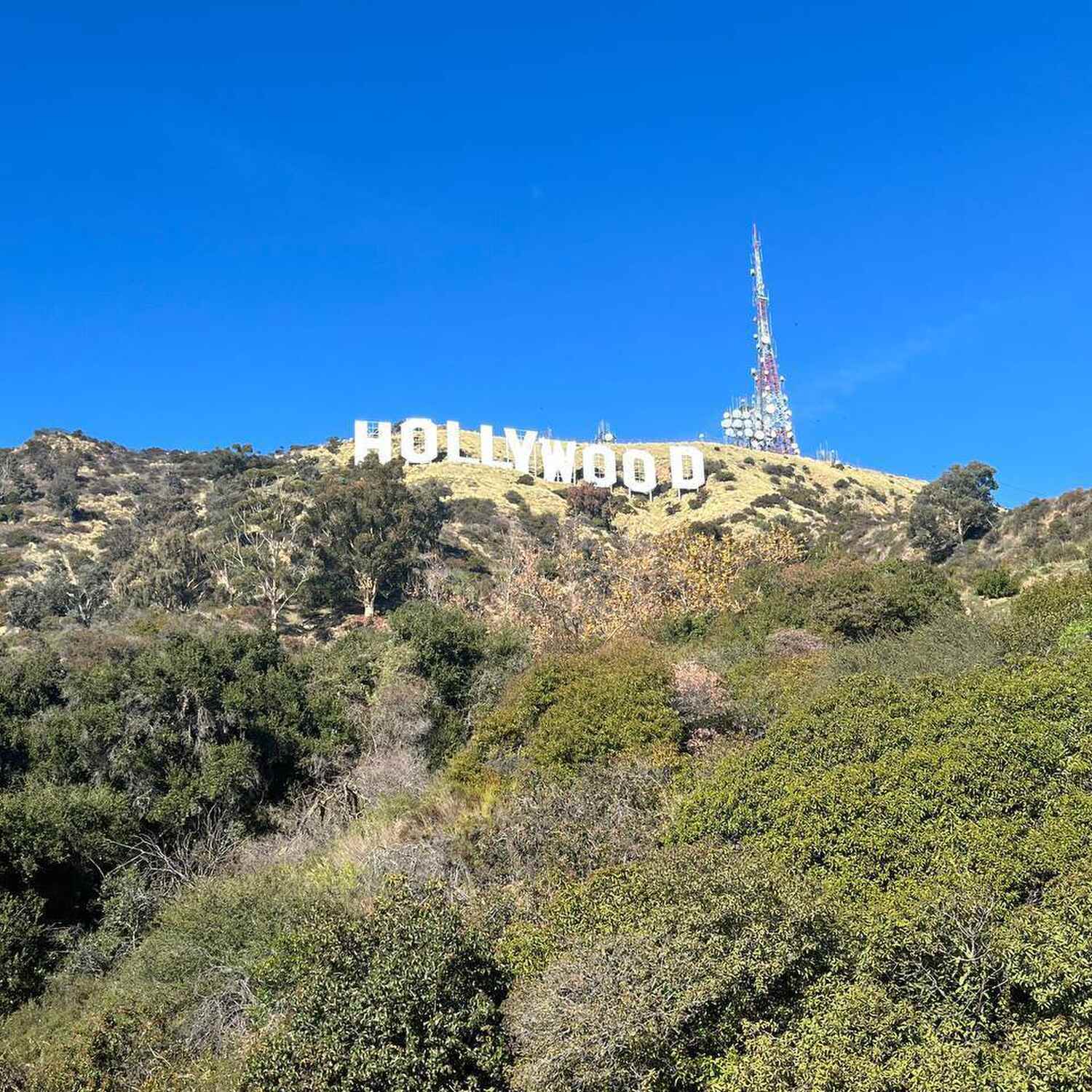 California 🇺🇲