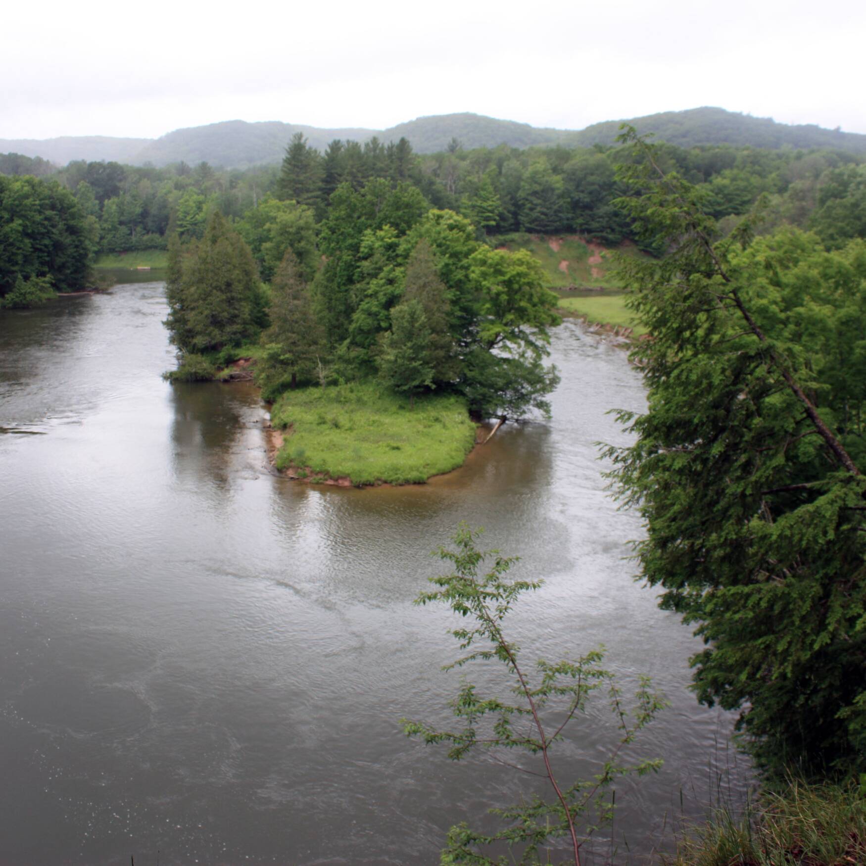 Manistee River Trail