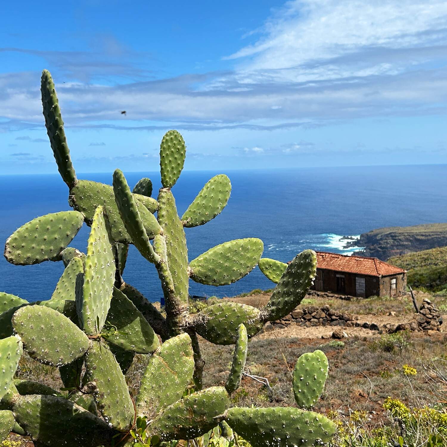 La Palma