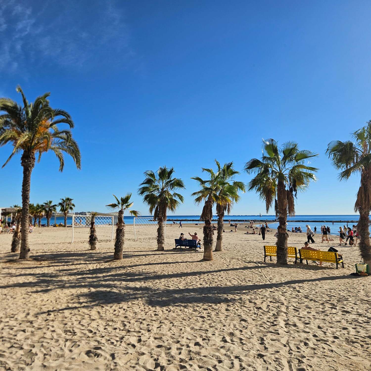 Alicante