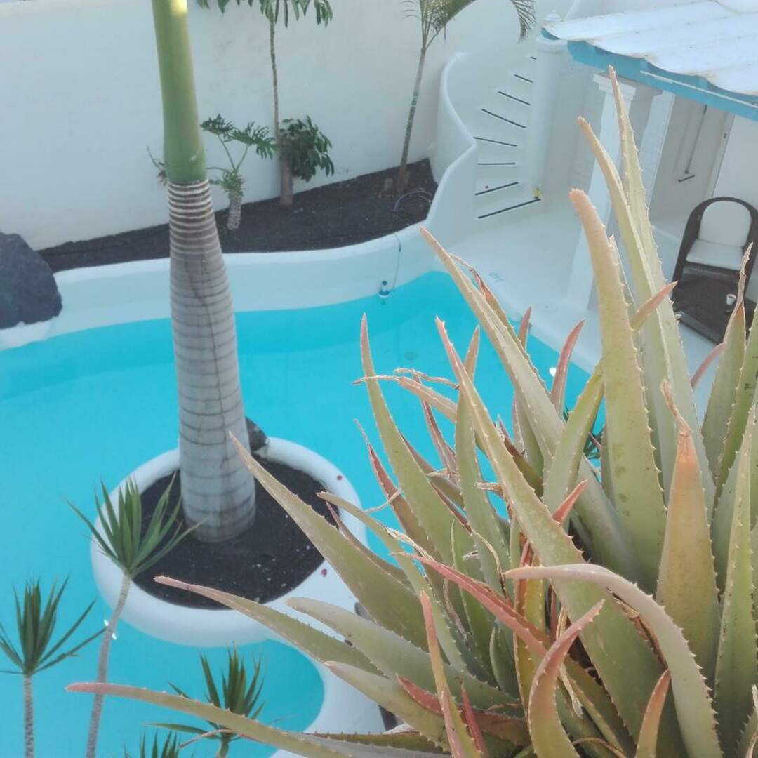 Fuerteventura