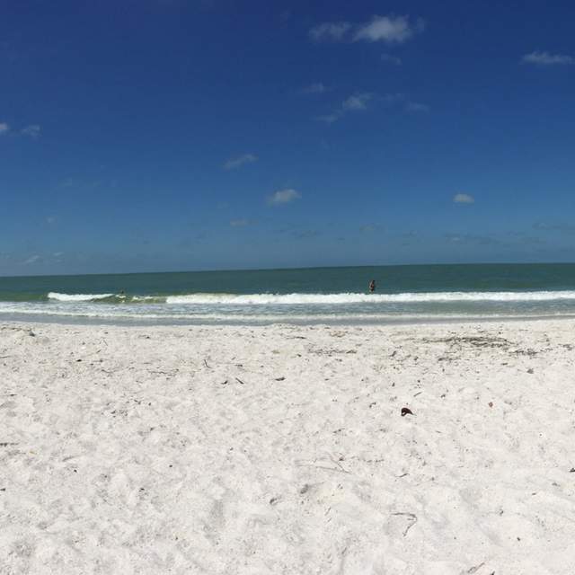 Florida 2017