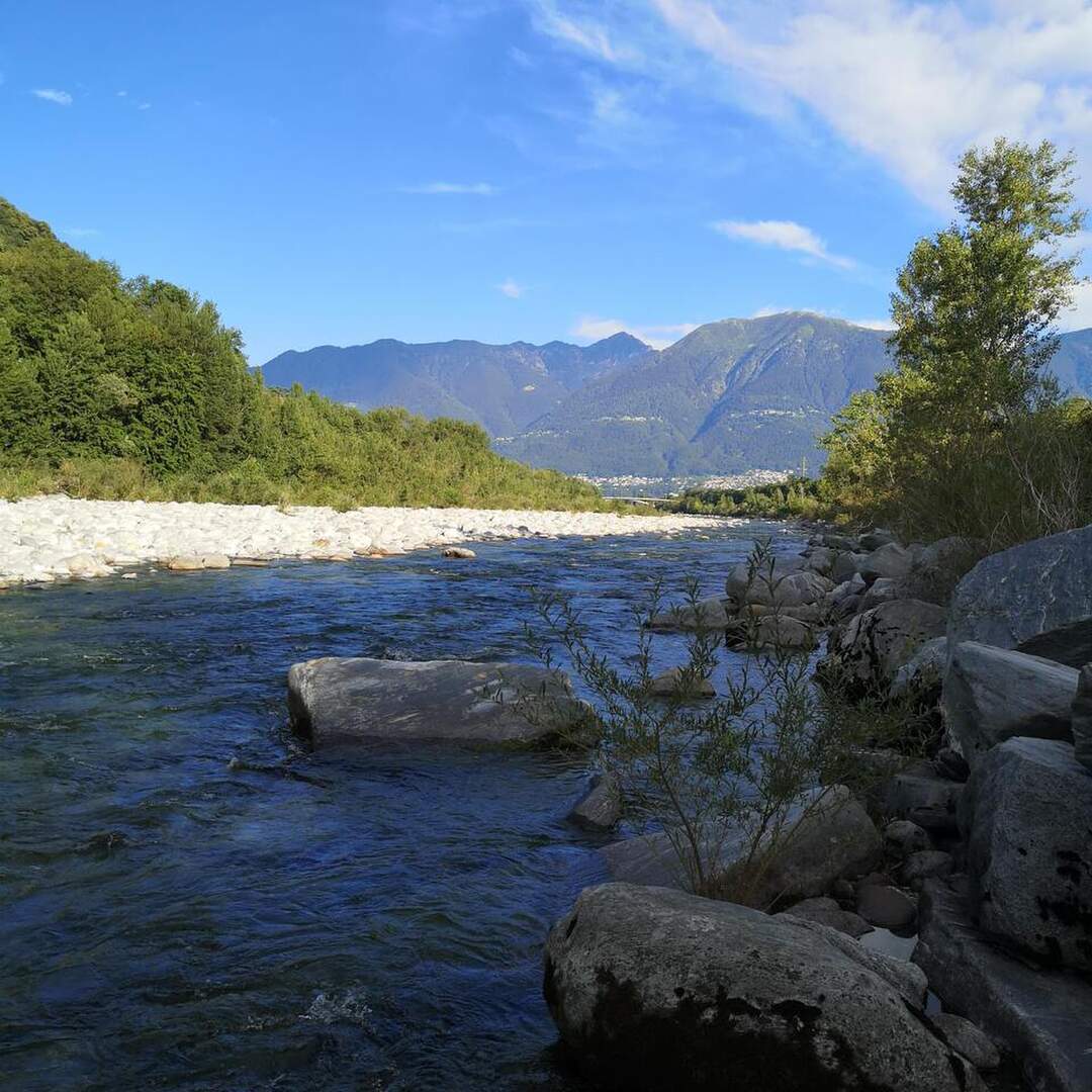 Tour de suisse