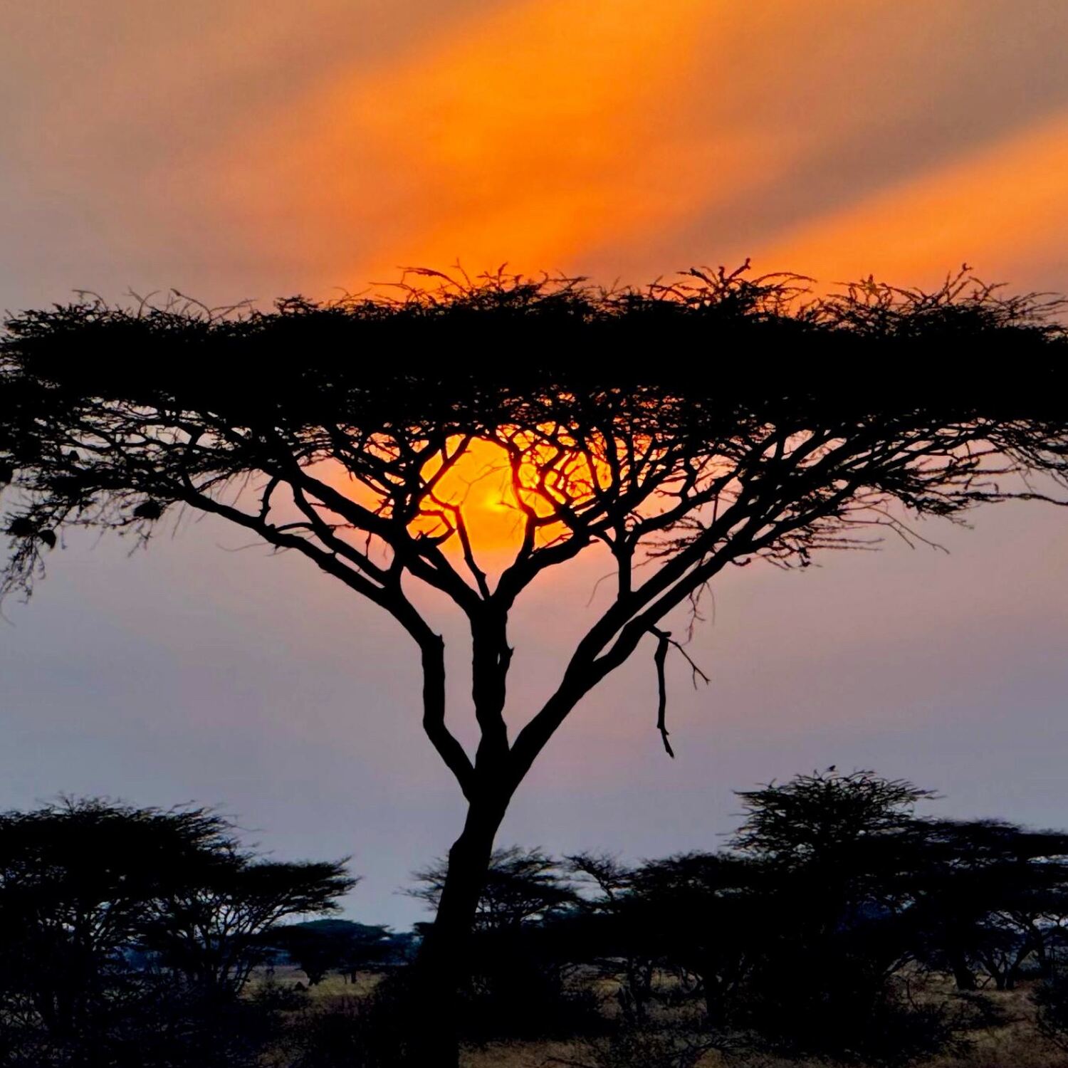 Kenia 2025