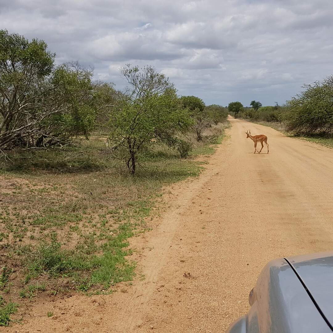Ultimate Tanzania