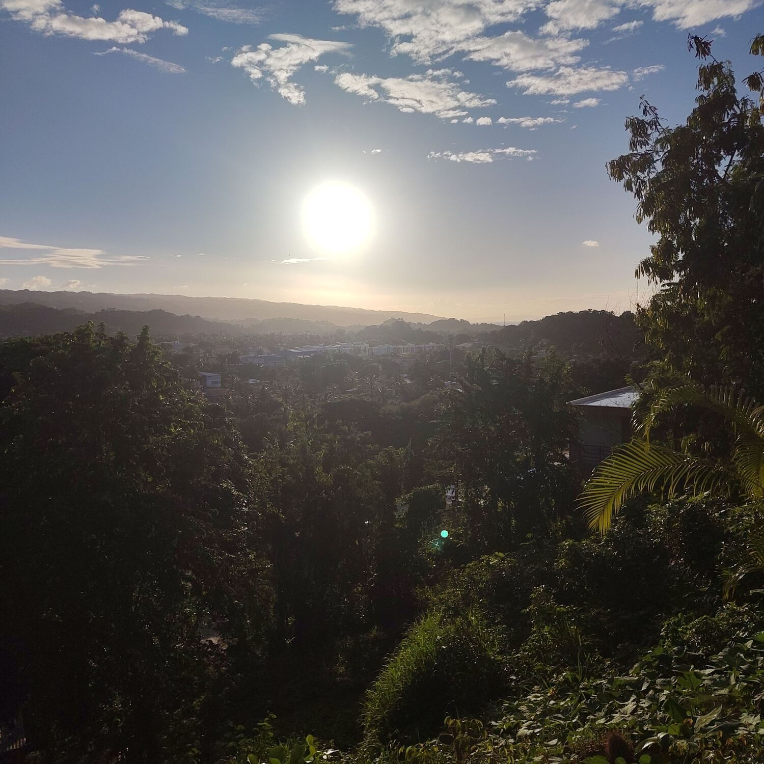 Caraïbes et Amitiés lointaines