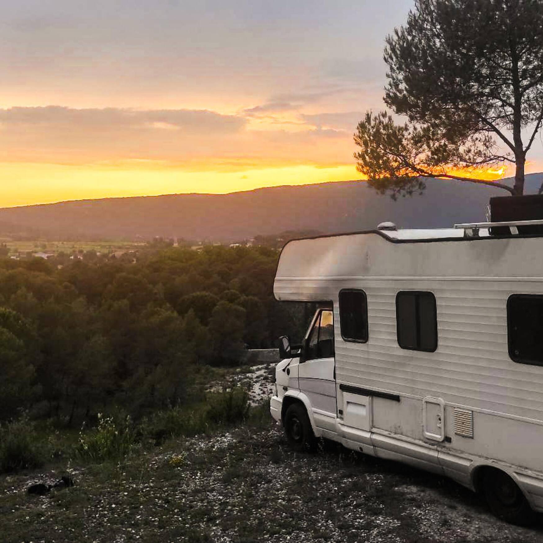 Summer tekno trip 23