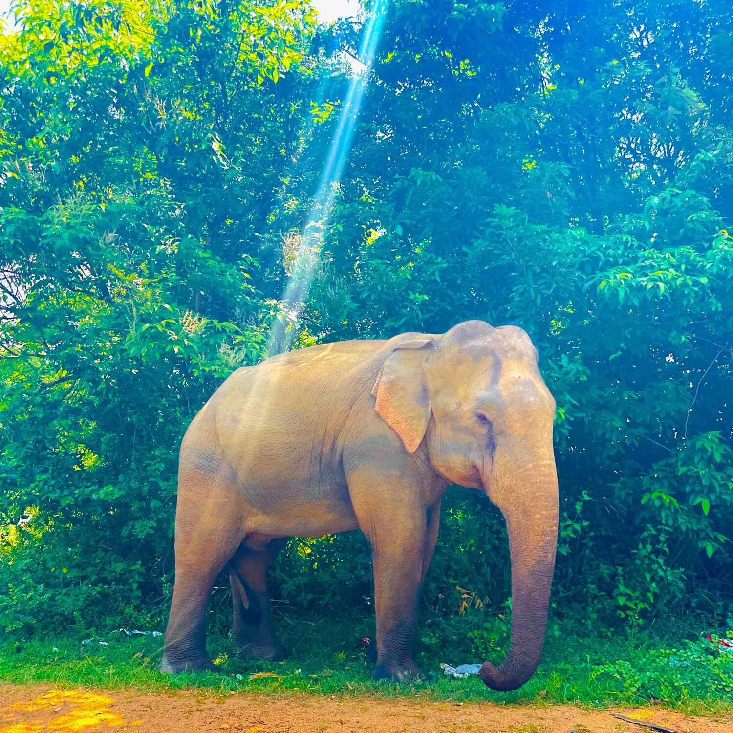 Sri Lanka