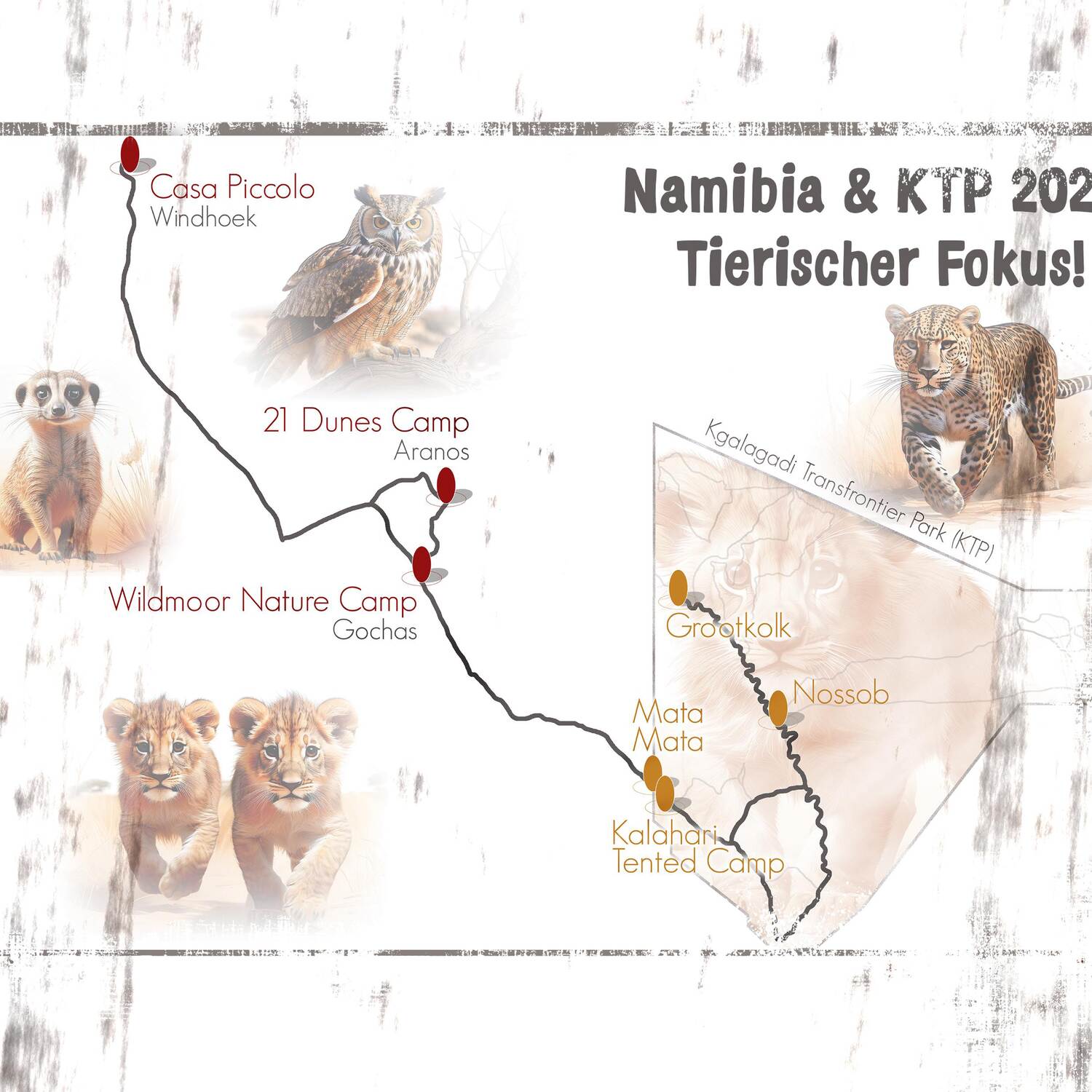 Namibia & KTP 2025