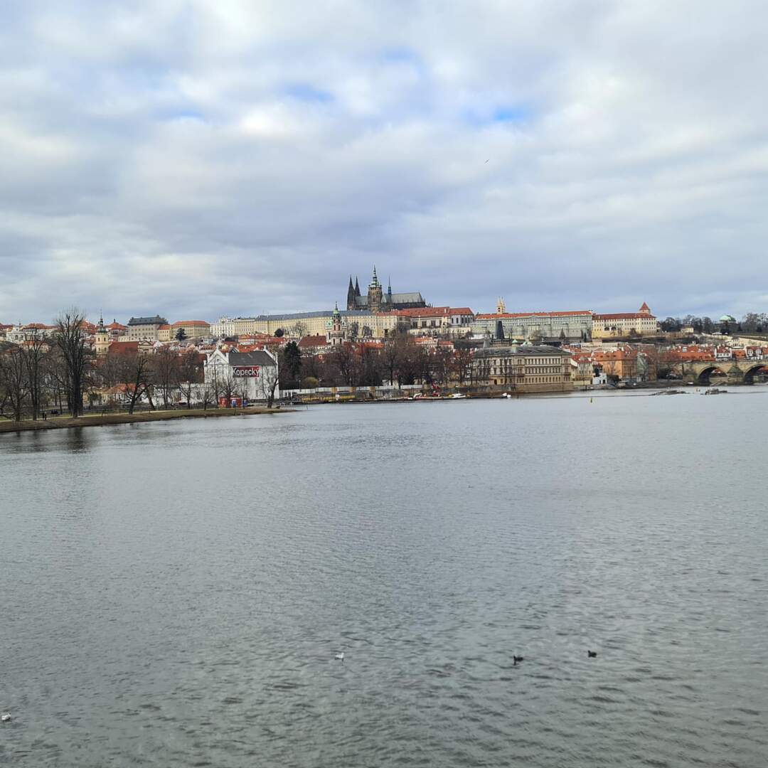 Czech Republic / Germany