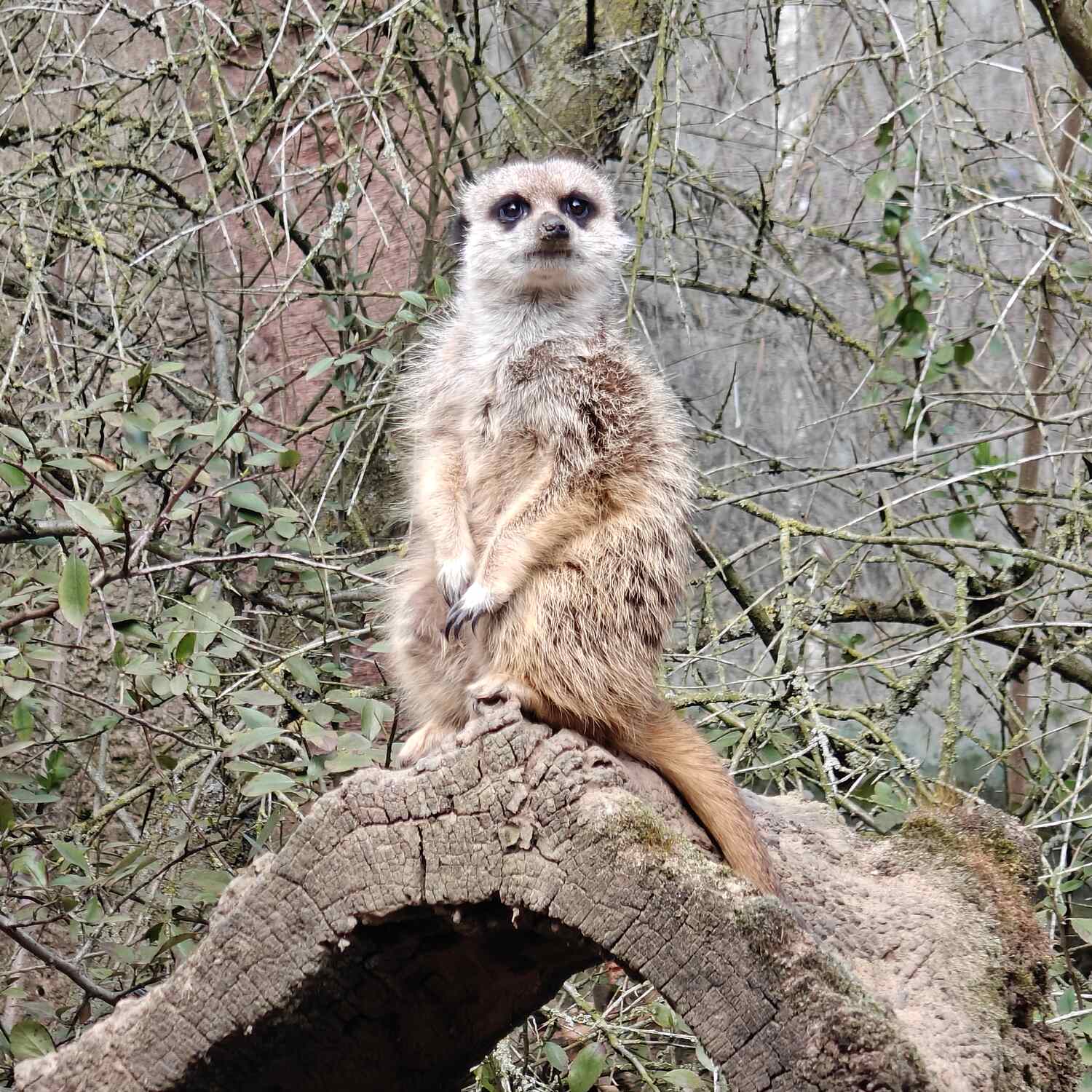 Zoo & Natur